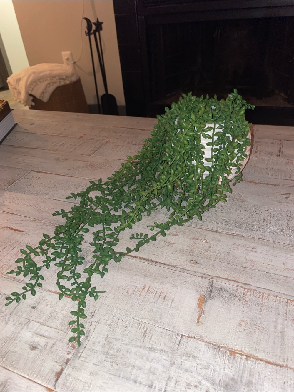 Artificial Trailing String of Pearls Plant - Green